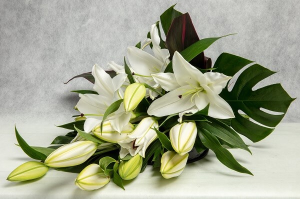 Oriental Lily Bouquet