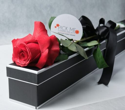 Single Long Stem Red Rose